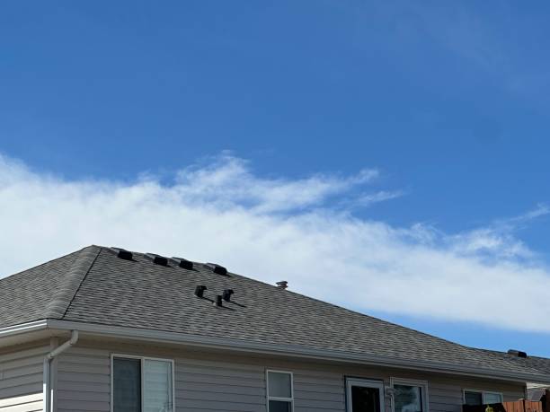 Best Hot Roofs  in Reedley, CA